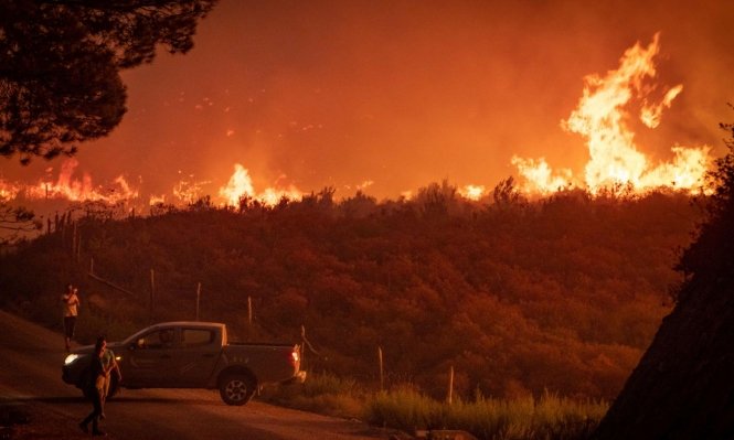 Photo of الجزائر تعلن عن ارتفاع حصيلة الوفيات إلى 34 جرّاء الحرائق