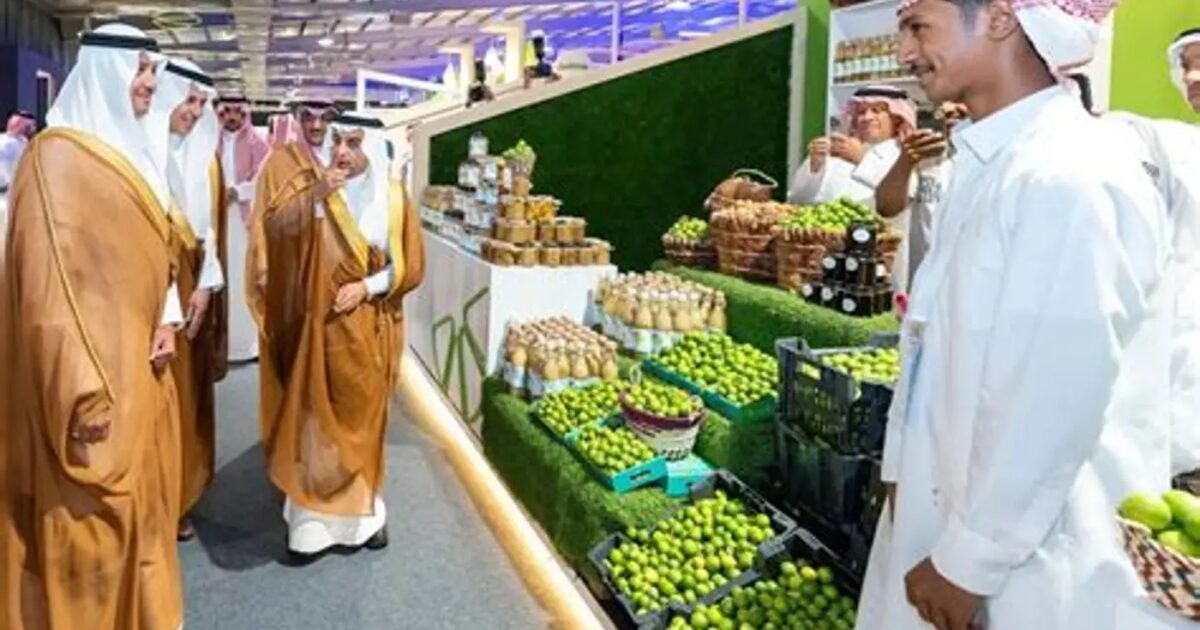اقتراح تحويل «سوق الجبل» إلى منصة لتجميع وتصدير منتجات الشوف