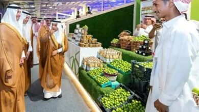 اقتراح تحويل «سوق الجبل» إلى منصة لتجميع وتصدير منتجات الشوف